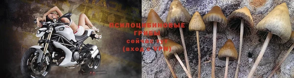 мяу мяу кристалл Магадан
