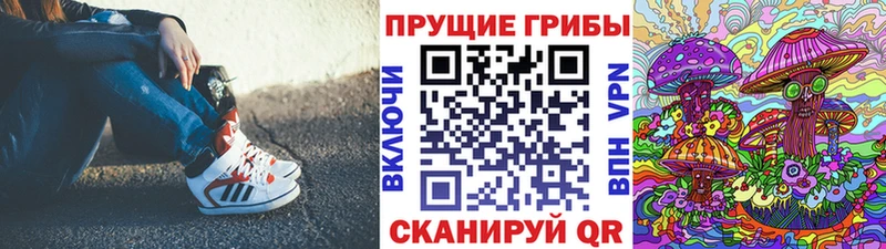 Псилоцибиновые грибы Psilocybine cubensis Зубцов